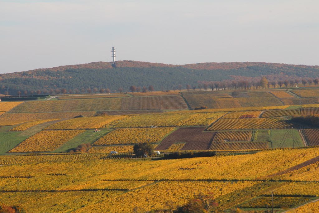 sancerre 102015 024 (Copier).JPG