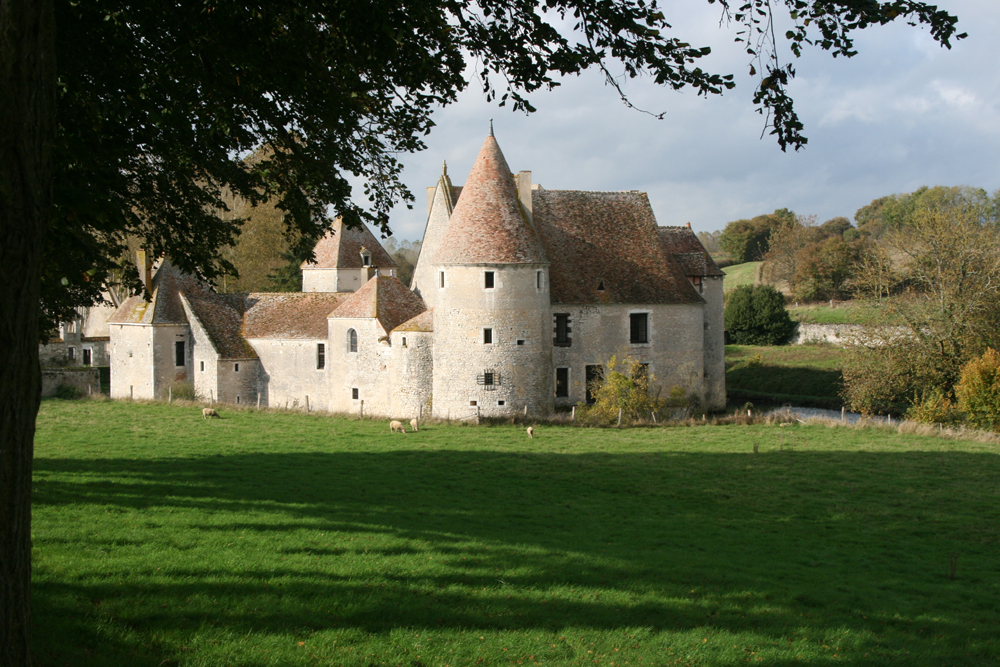 6415.jpg