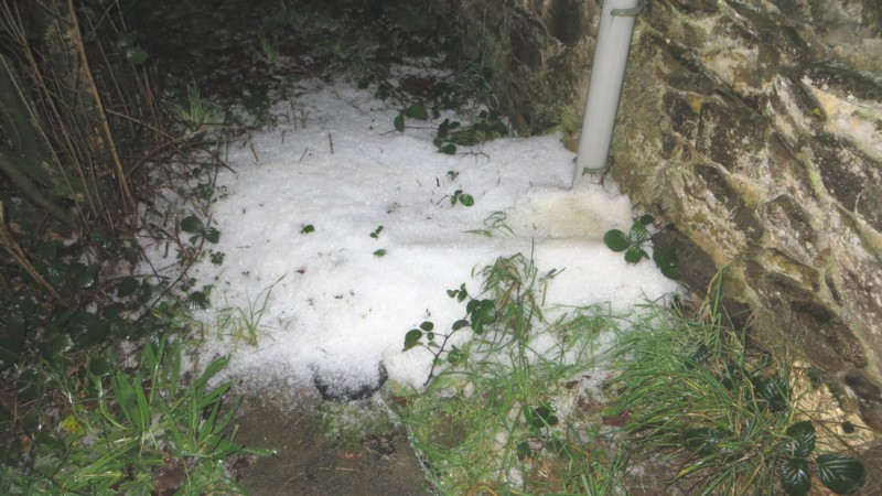 2016.9 janvier2RED.jpg