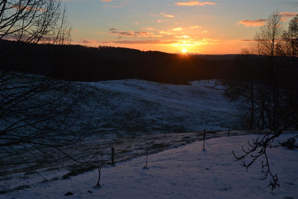 La Minerve 104 (Large).jpg