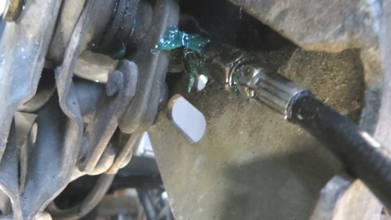 Atelage Triton 21.JPG