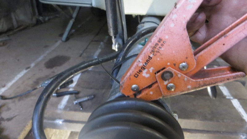 Atelage Triton 32.JPG