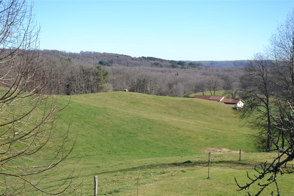 La Minerve 050 (Large).jpg