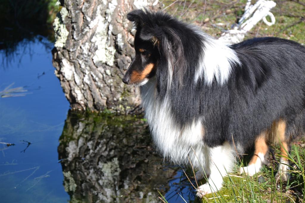 La Minerve 043 (Large).jpg