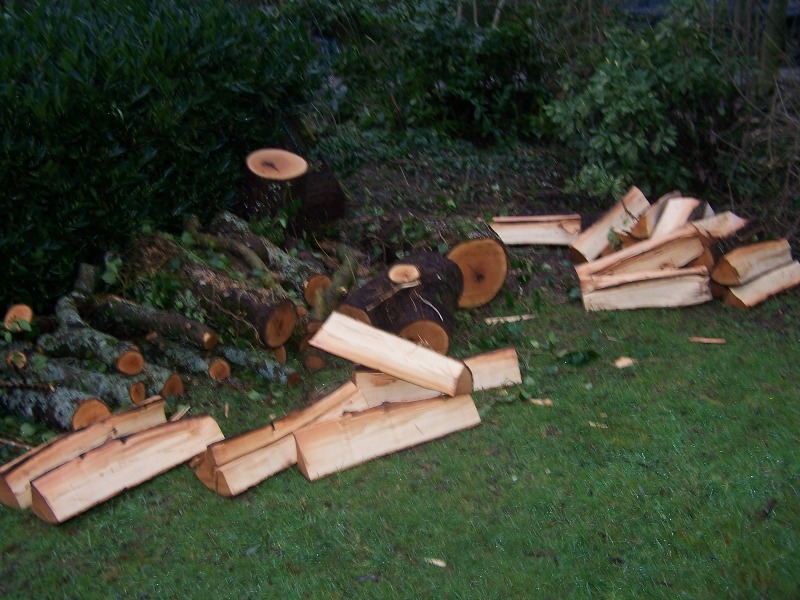 100_5312.JPG