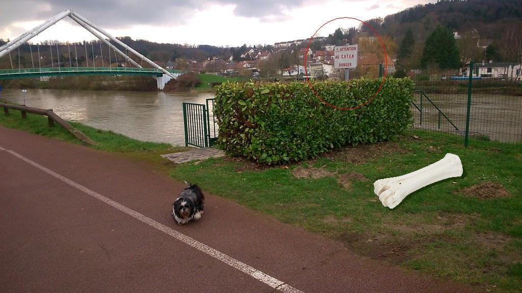 DSC_1100 %28Copier%29 (1).jpg