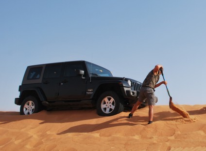 La pelle des sables.jpg