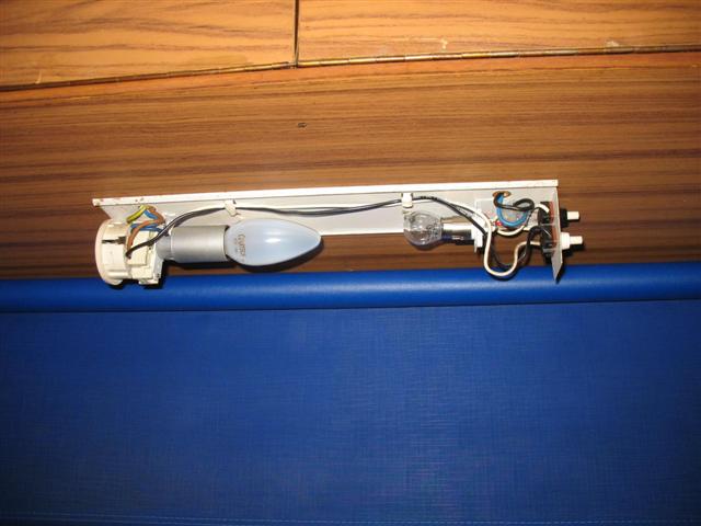 champignon caravane 002 (Small).jpg