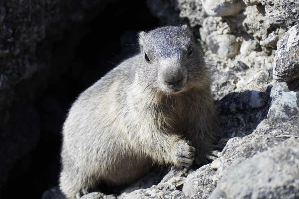 _DSC0572 (1024x680).jpg