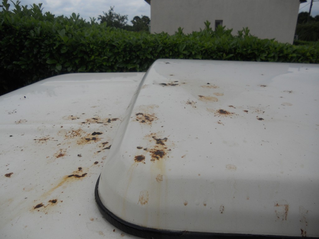 2016-06-23 15.20.52.jpg