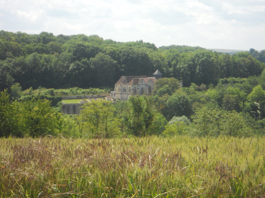 2016-06-18 14.17.49.jpg