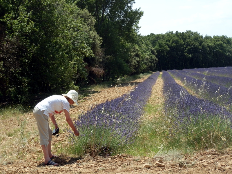 La reconnaissez-vous ?