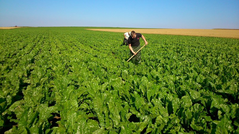 Mais que le matin ! !