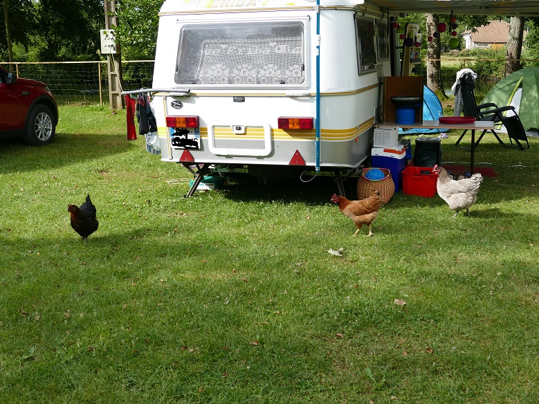 poubelles sur pattes