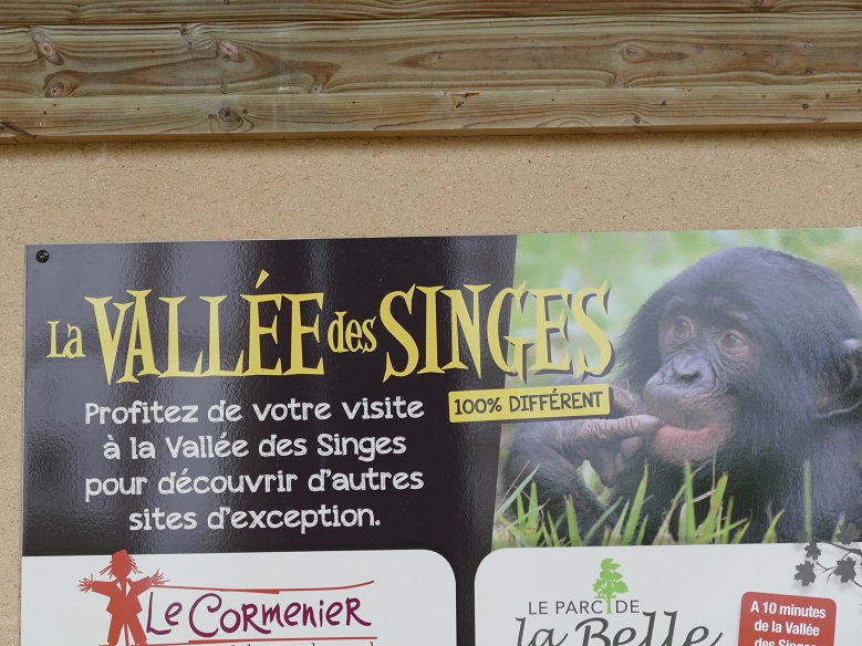 Retour par la vallée des singes