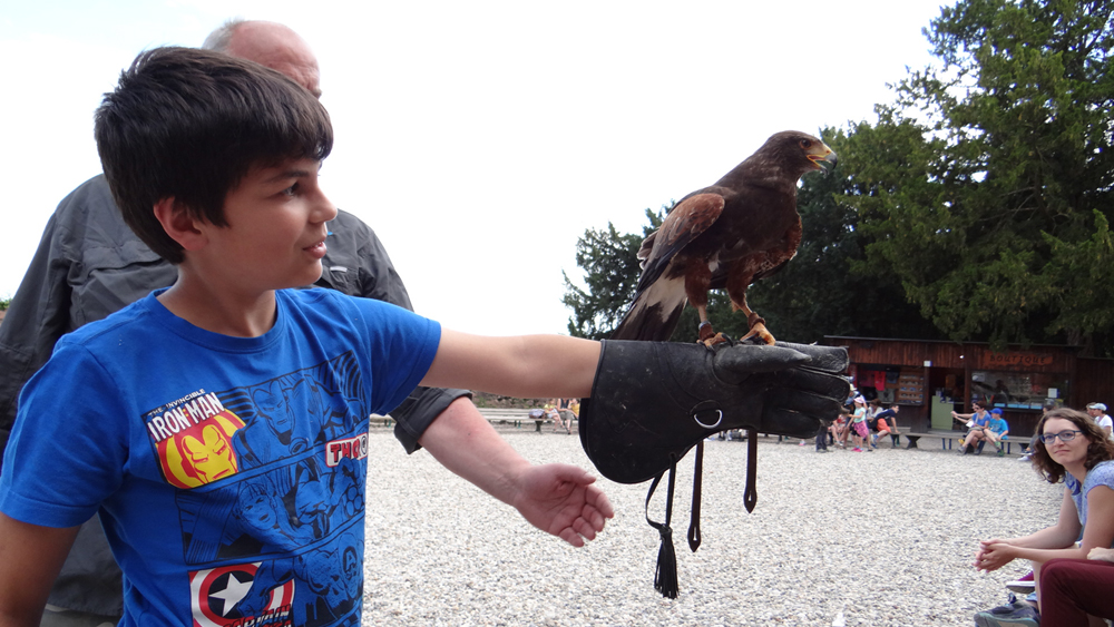 Le petit fils veut être fauconnier, donc direction le rocher des aigles.