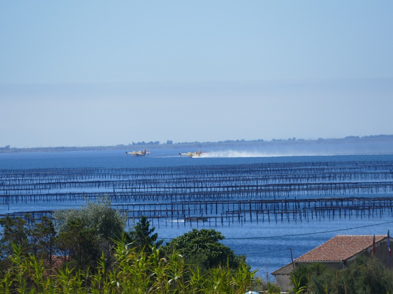 Etang de thau