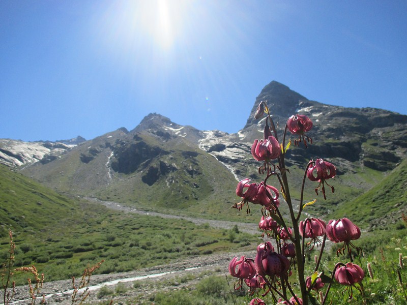 6 vers le refuge des Evettes.JPG