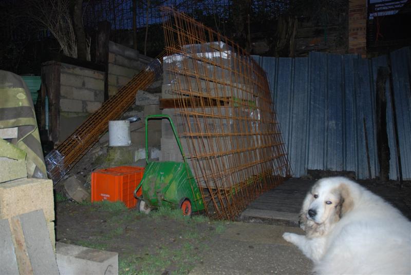 DSC_7556 (Medium).JPG