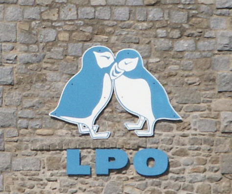 PICT0003 reduite.jpg