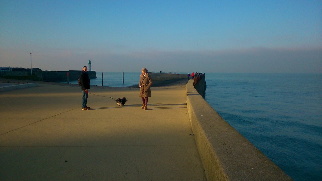 DSC_1555 (Copier).jpg