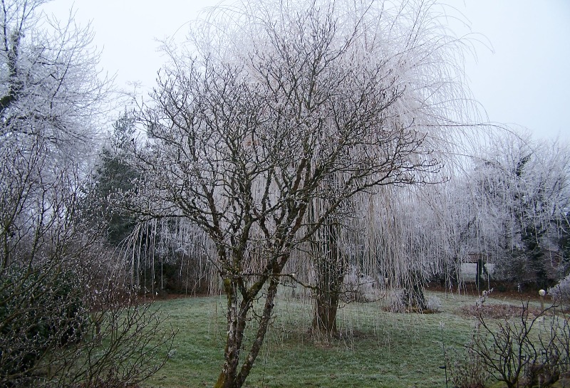 100_5817.JPG