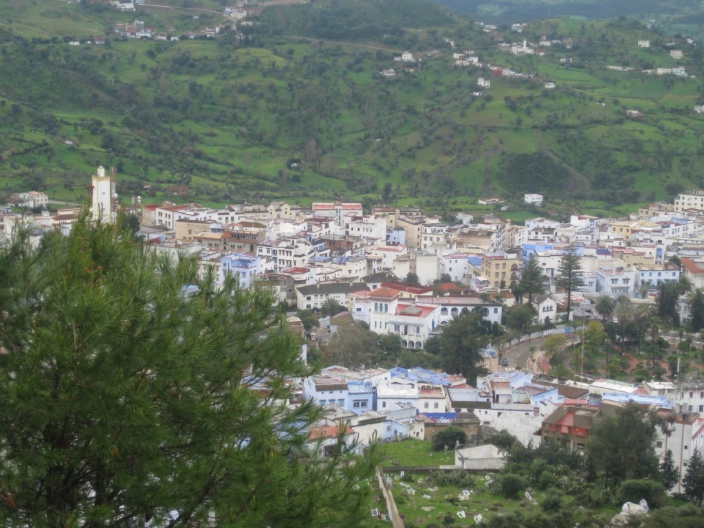 IMG_7839 (Copiar).JPG