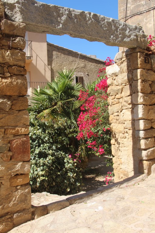 corse2016balagne 145 (Copier).JPG