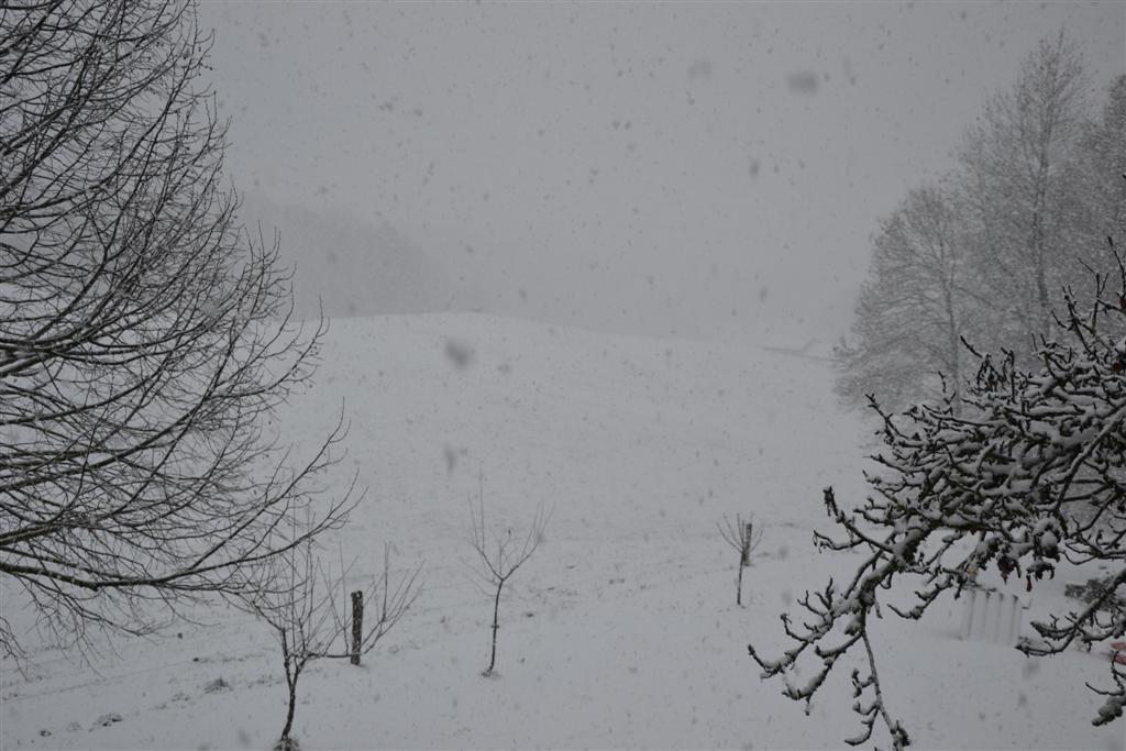 La Minerve 031 (Large).jpg