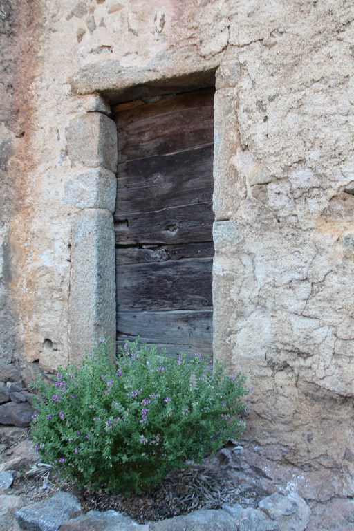 IMG_3688 (Copier).JPG