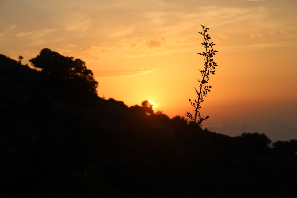 corse2016balagne 105 (Copier).JPG
