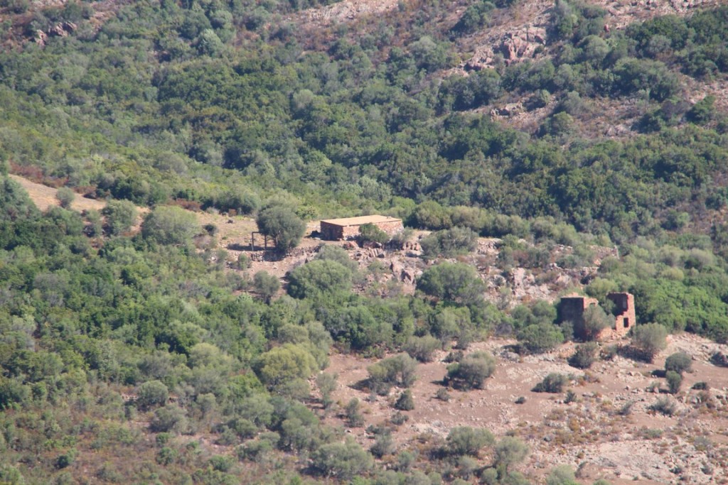 corse2016balagne 071 (Copier).JPG