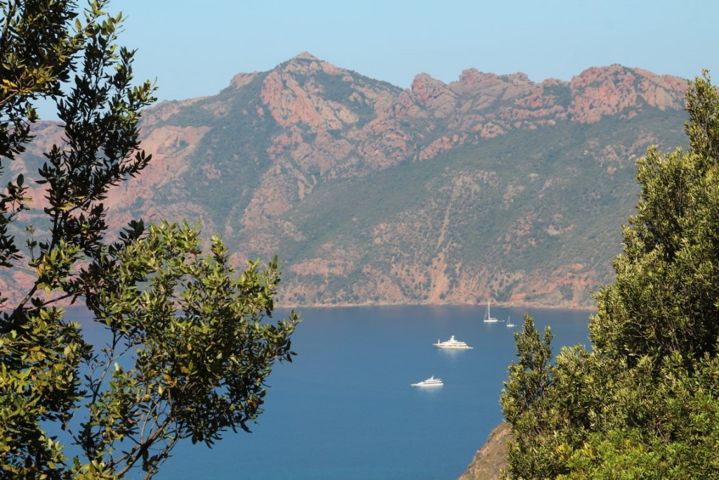 corse2016balagne 086 (Copier).JPG