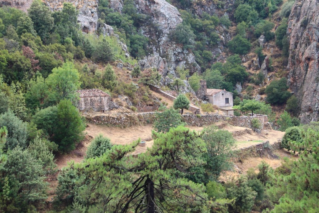 corse2016balagne 159 (Copier).JPG
