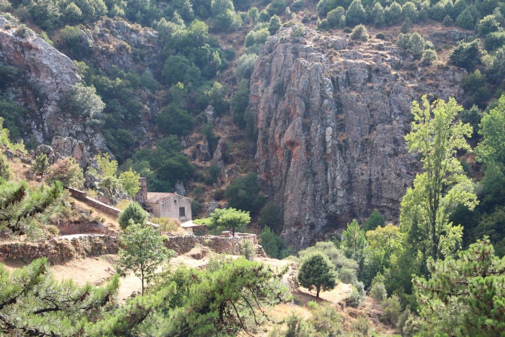 corse2016balagne 192 (Copier).JPG