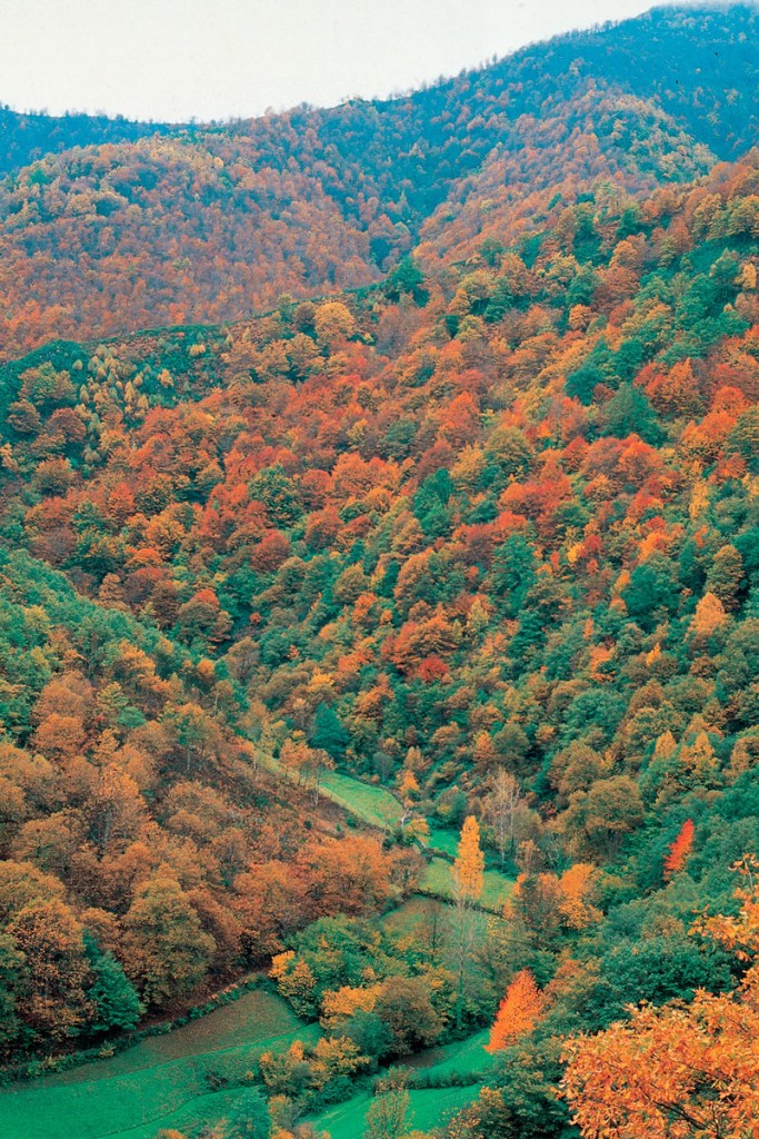 Las Alpujarras en otoño