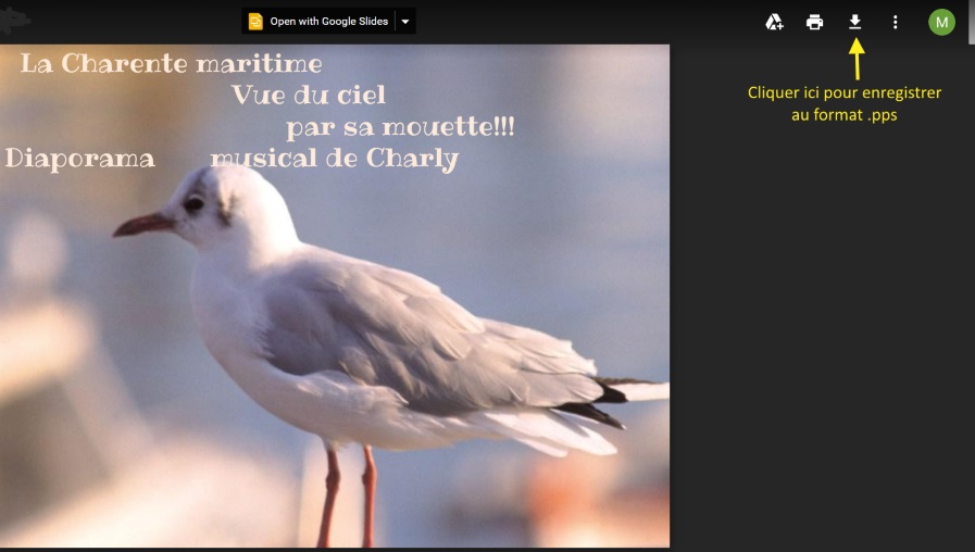 Google Slides bis.jpg