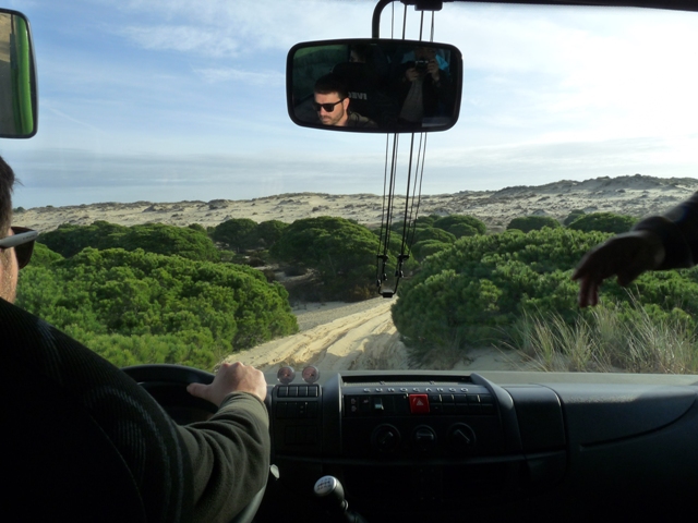 Desde el autobús en la visita al parque Nacional de Doñana.JPG