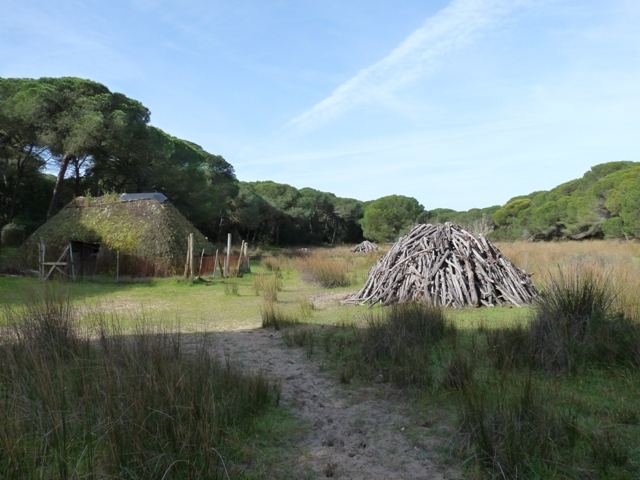Choza y carbonera en Doñana.JPG