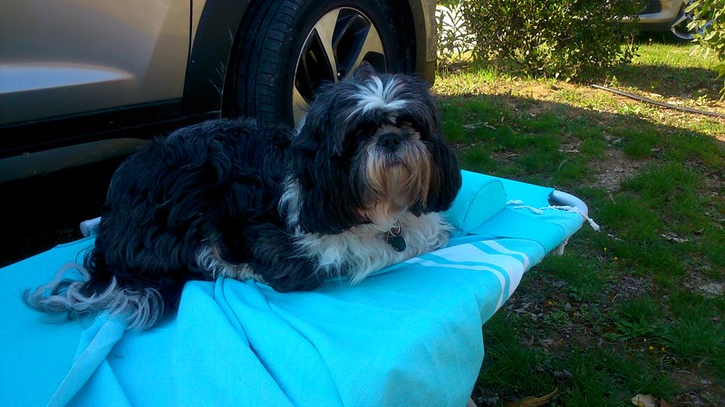 DSC_0047 (Copier).jpg