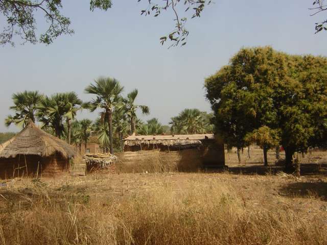 Afrique 2008 205_PhotoRedukto.jpg