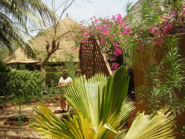 Afrique 2008 269_PhotoRedukto.jpg