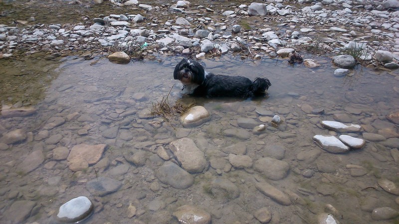 Le bain de la Princesse GUIMAUVE ! !<br />Elle qui normalement n'aime pas l'eau ! !