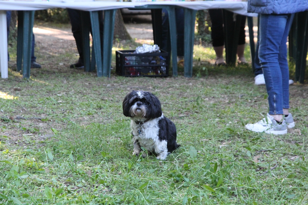 La gardienne du troupeau !