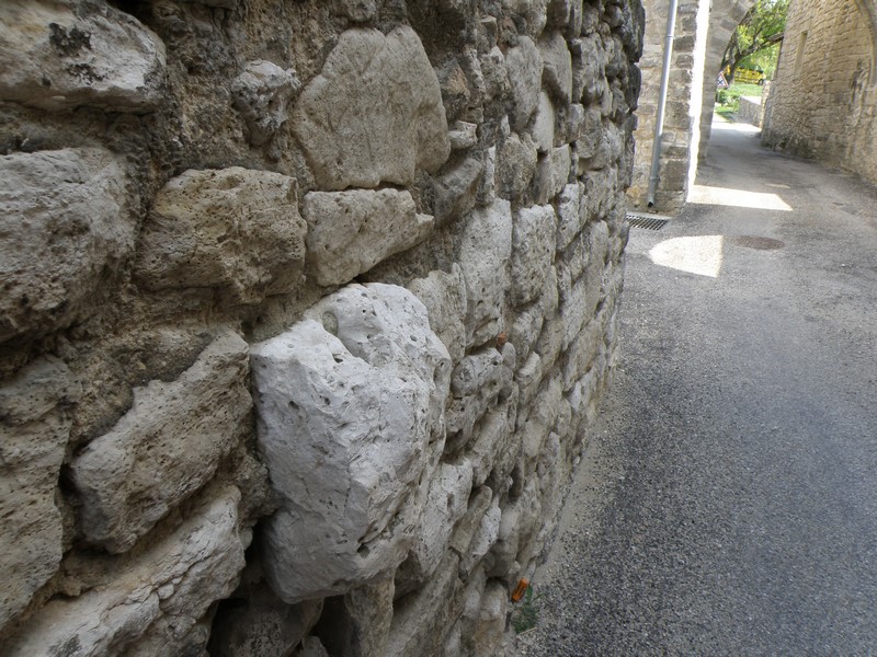 P4050725 (Copier).JPG