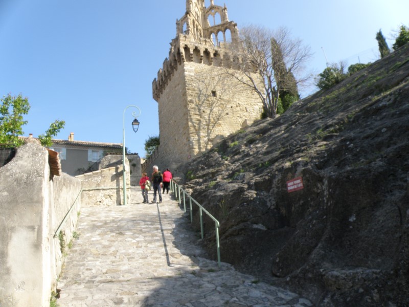 P4060749 (Copier).JPG