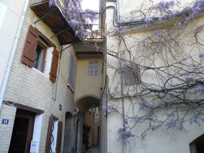 P4060755 (Copier).JPG