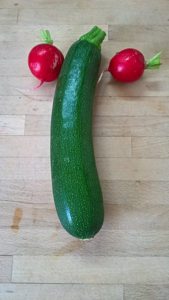 WP_20170524_17_23_07_Pro (Copier).jpg