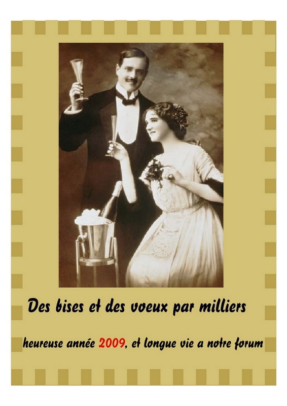 bonne année.jpg