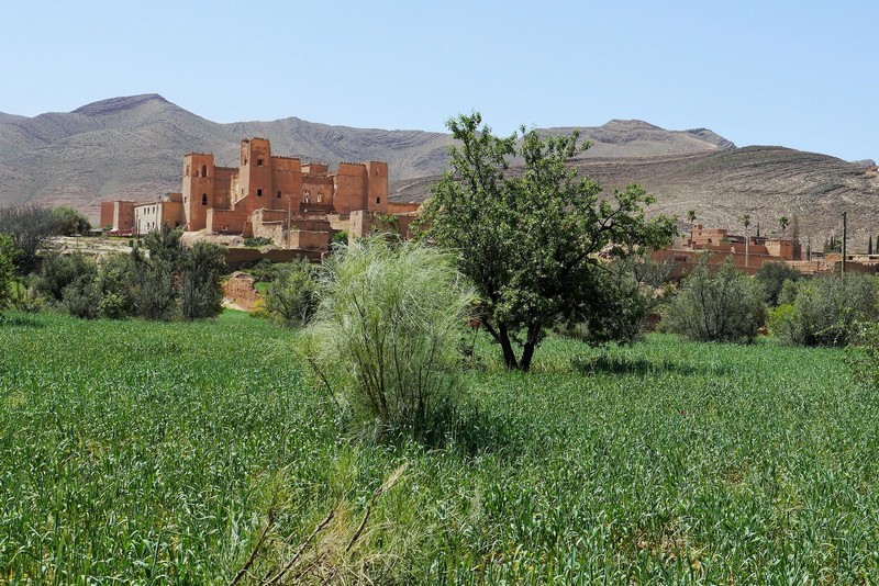 kasbah près du souk